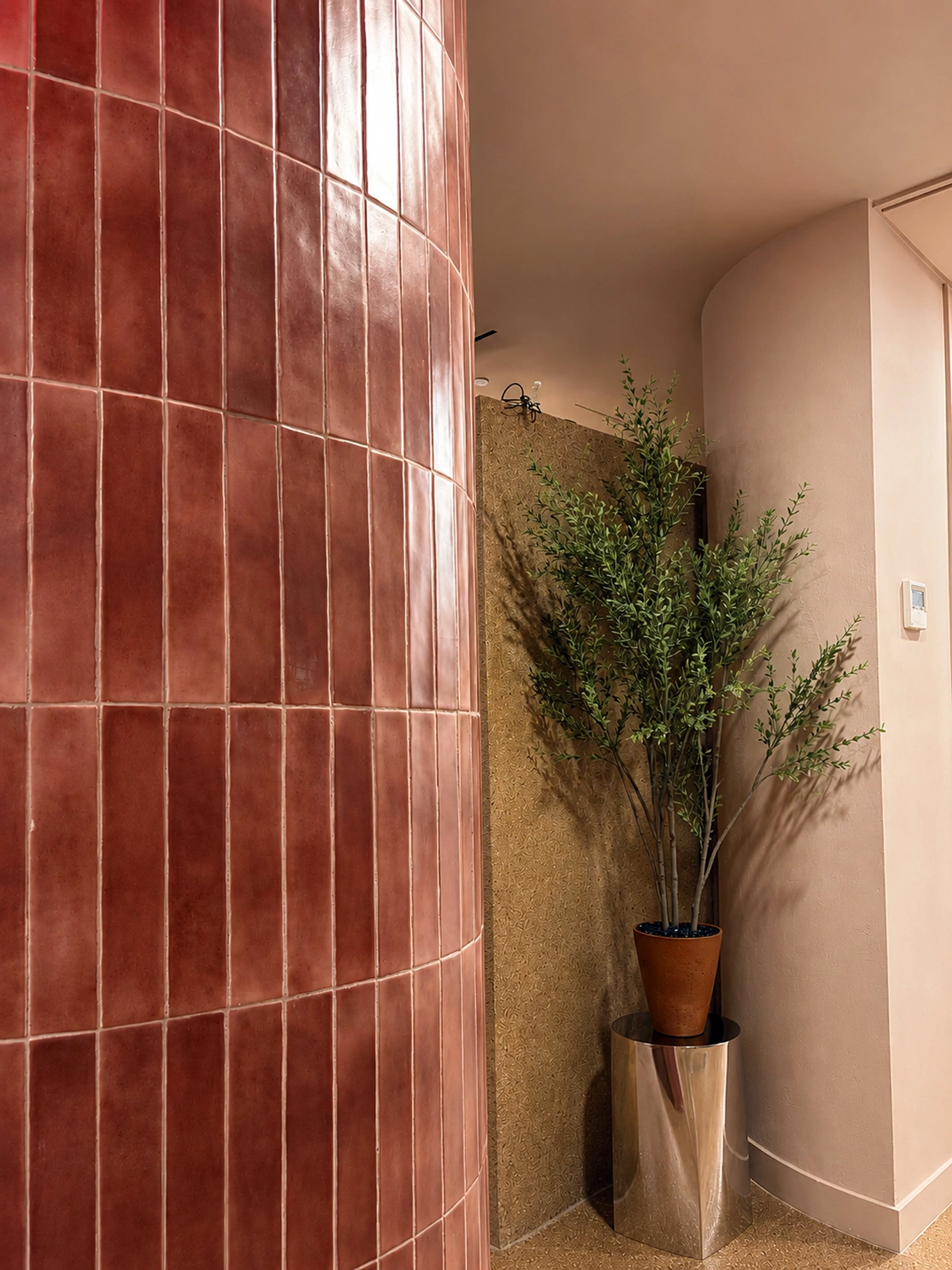 Curved terracotta tiled wall and potted olive tree in the Zohar hallway